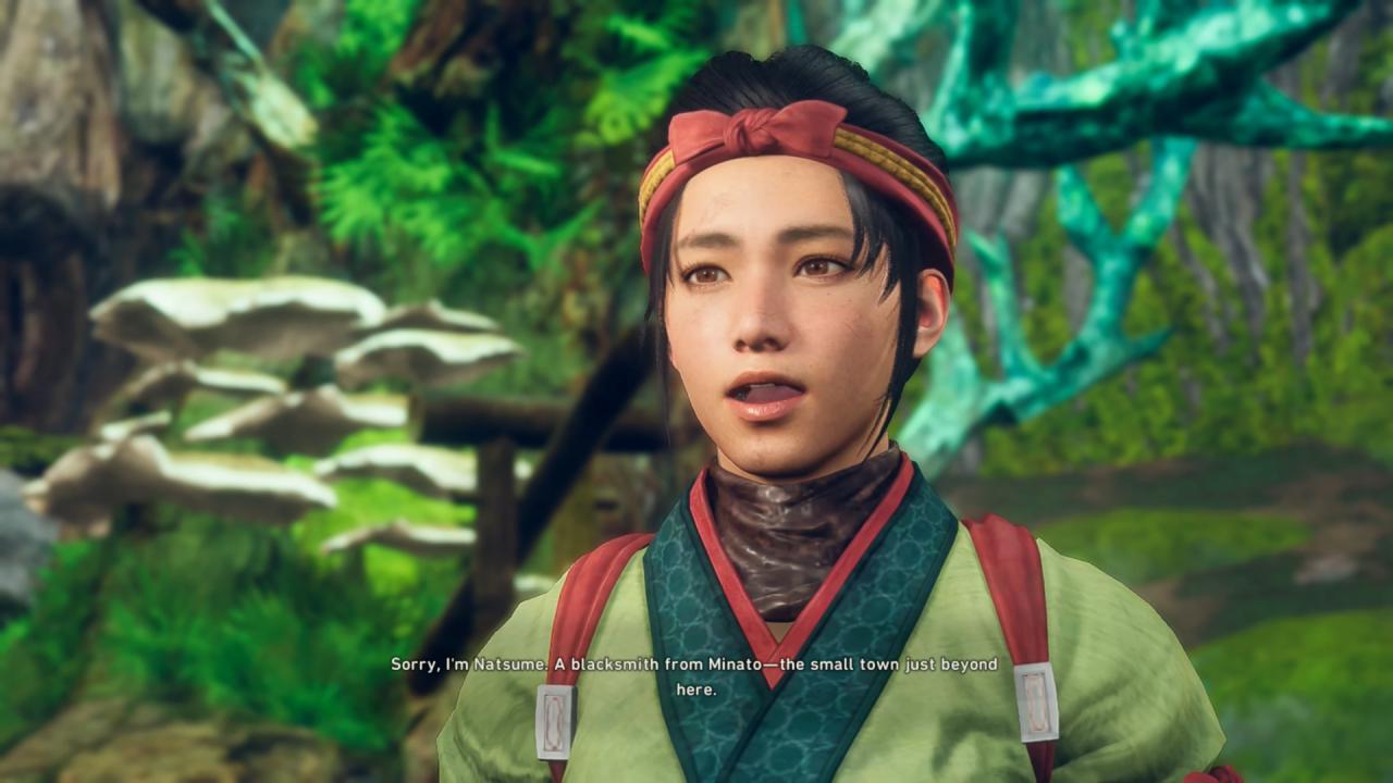 WILD HEARTS S, Review, Switch 2, Gameplay, Screenshot, NoobFeed