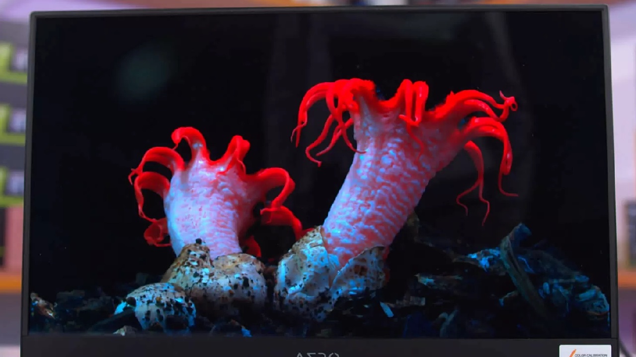 First Wave, OLED Gaming Laptops, 480Hz Displays, Game Changer, Gimmick, NoobFeed