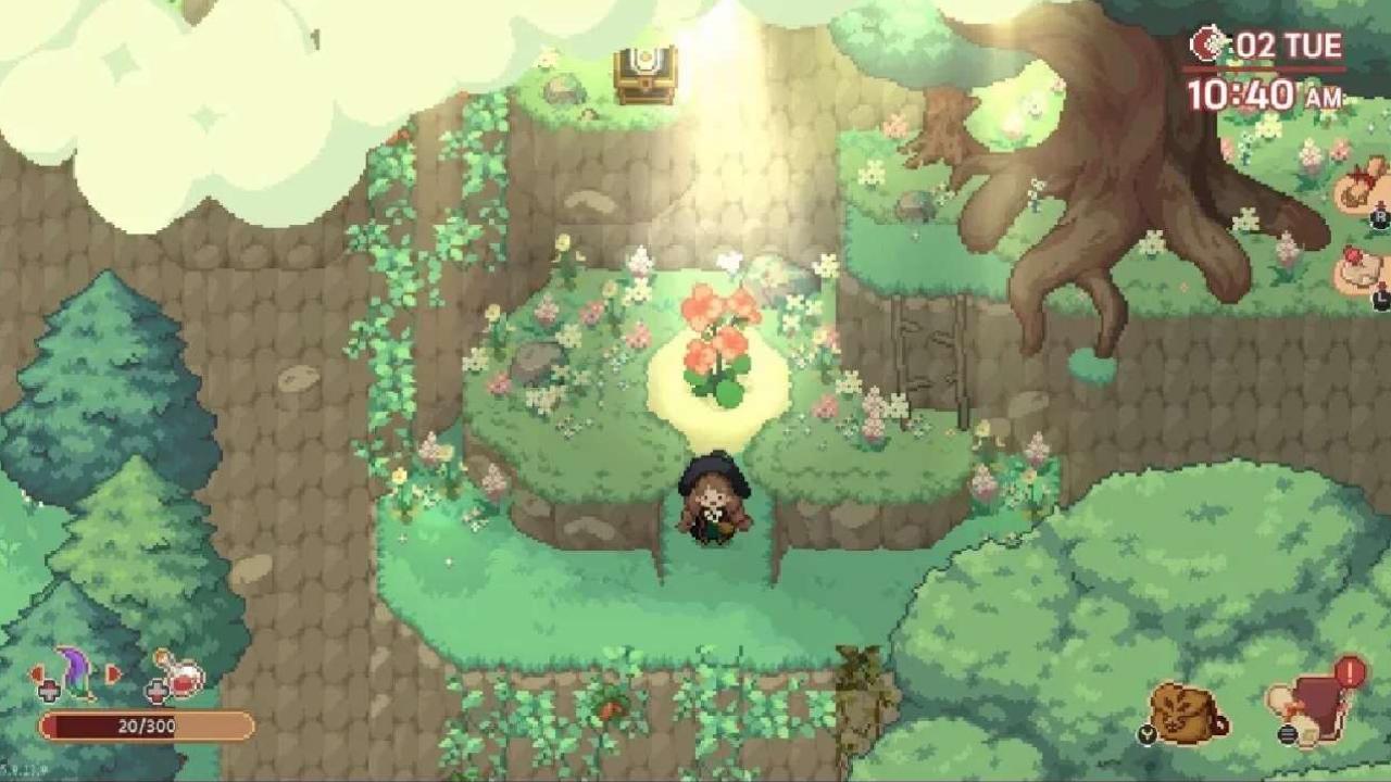 Little Witch in the Woods, Guide, All Ritoring Locations