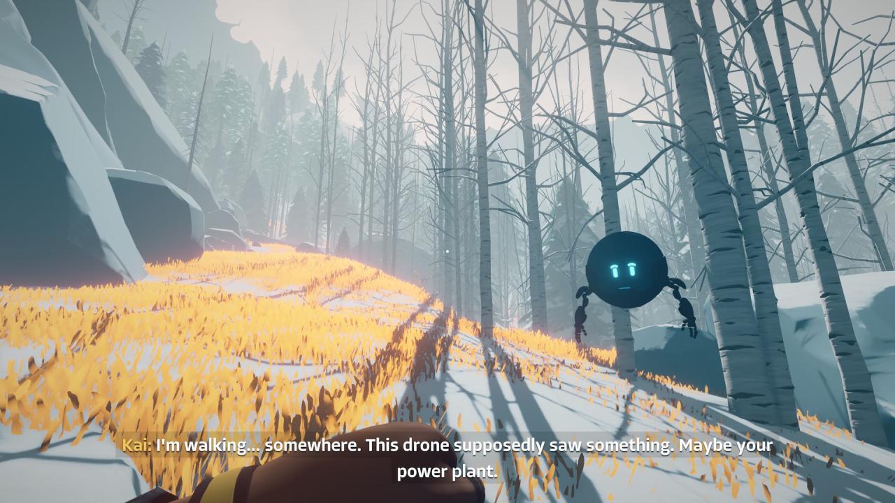 Arctic Awakening, Review