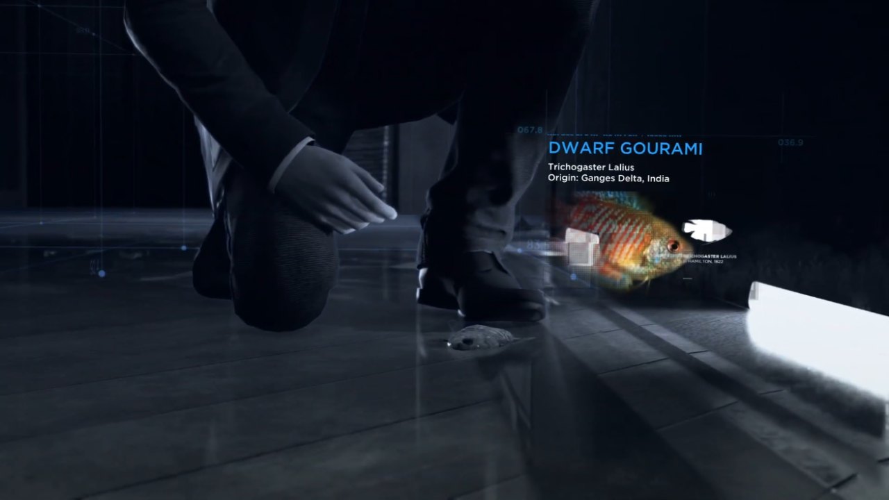 Detroit: Become Human, PC, Gameplay, How to Save the Fish in The Hostage, Screenshot, NoobFeed