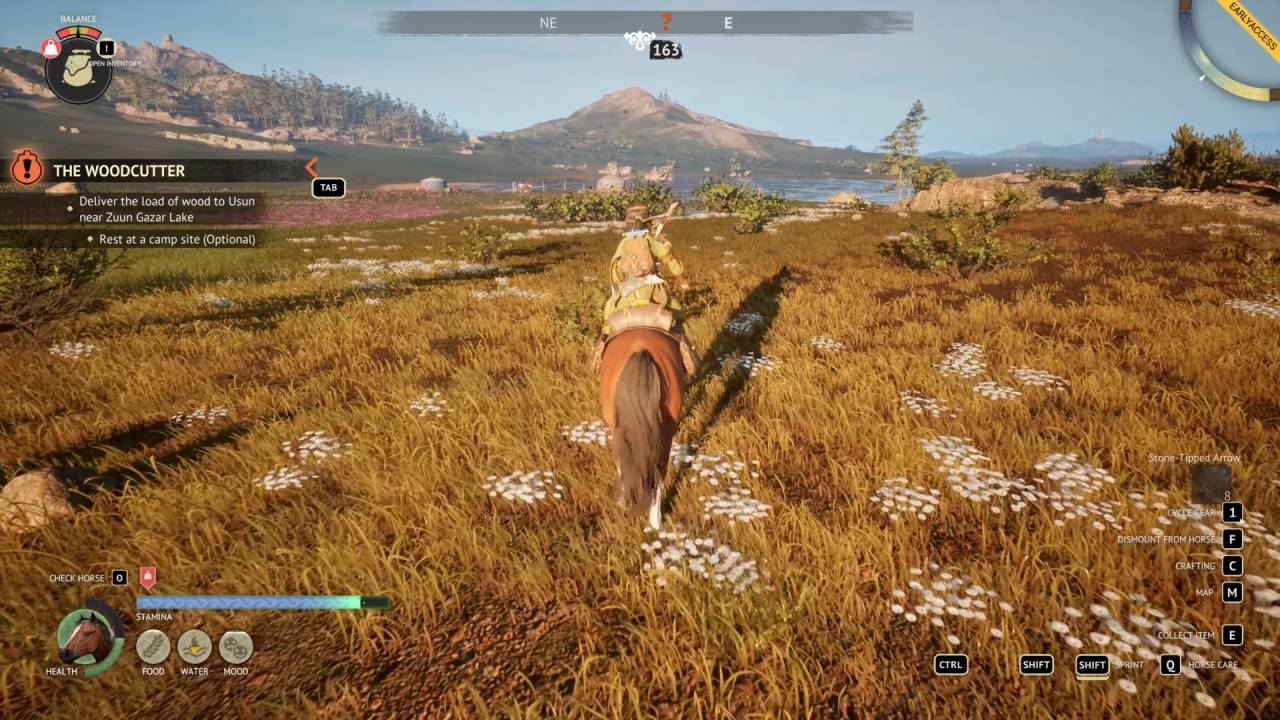 The Legend of Khiimori, Aesir Interactive, Horse, Simulation, World, Gameplay, Story, PC, Review, NoobFeed