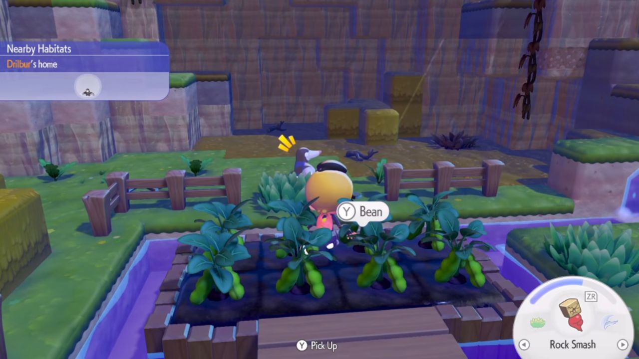 Pokemon Pokopia, PC, Gameplay, How To Till Soil And Plant Seeds-2, Screenshot, NoobFeed