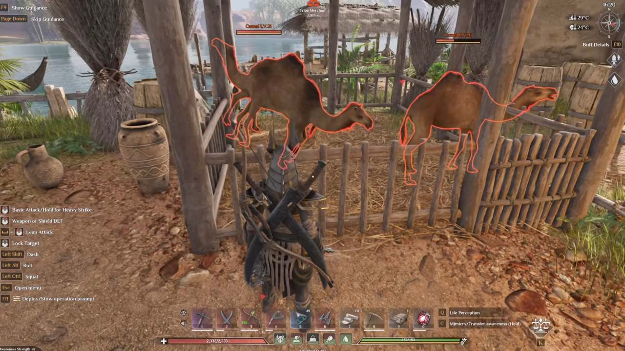 Soulmask, Guide, How to Tame Camels