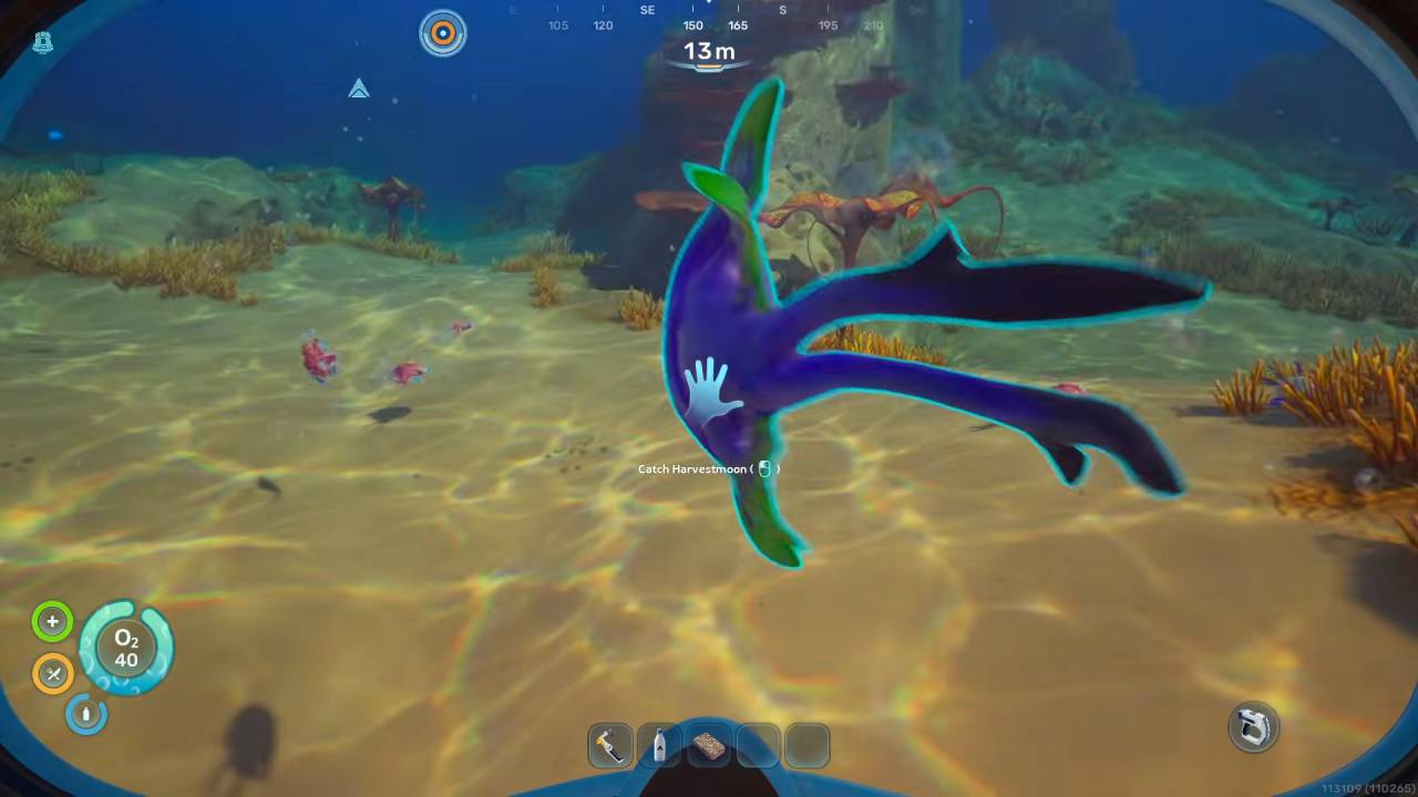 Subnautica 2, Guide, How to Get Food