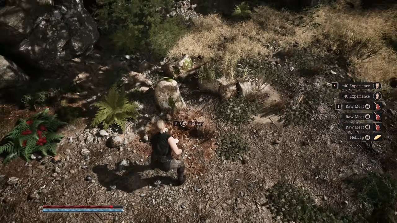 Gothic 1 Remake, Guide, How to Complete Snaf’s Recipe Quest