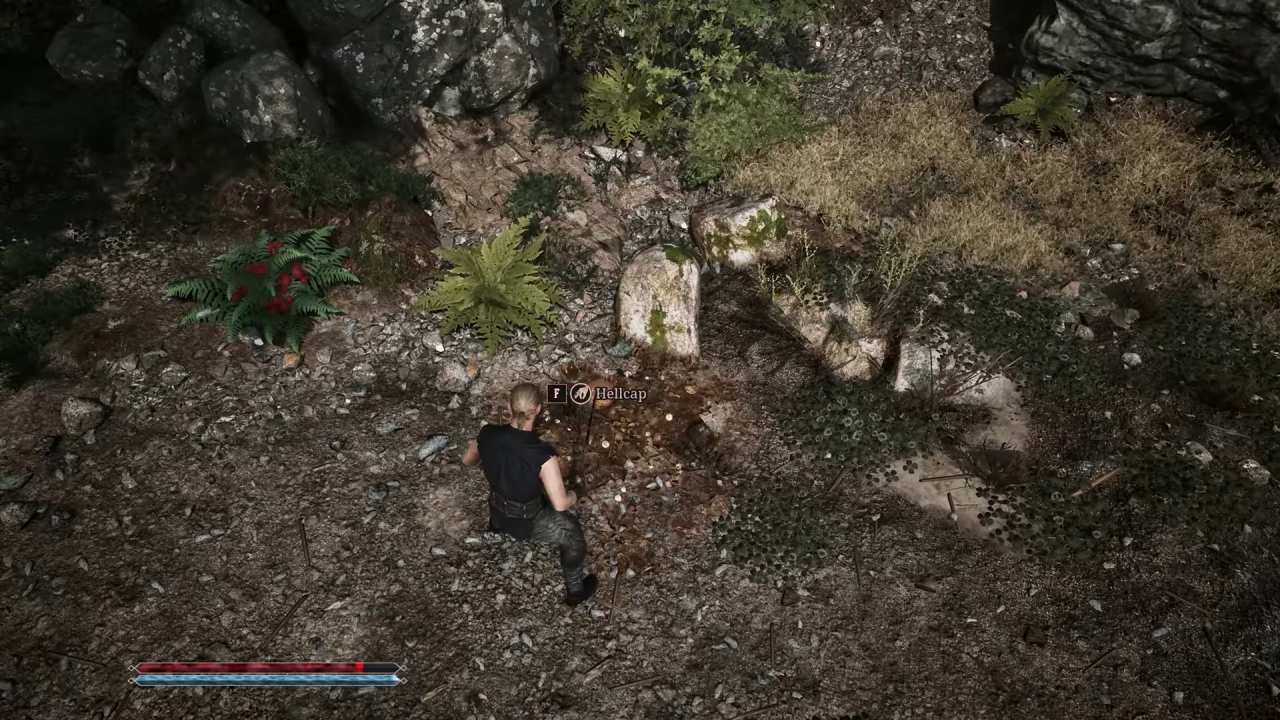 Gothic 1 Remake, Guide, How to Find Hellcap Mushroom, Leaving the Camp, Outside Hunting Area