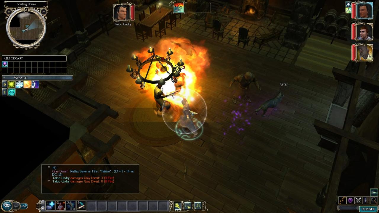 Dungeons & Dragons, Neverwinter Nights 2: Enhanced Edition, PC, Review, Gameplay, Screenshots