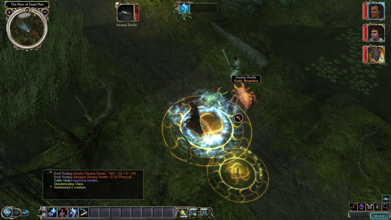 Dungeons & Dragons, Neverwinter Nights 2: Enhanced Edition, PC, Review, Gameplay, Screenshots