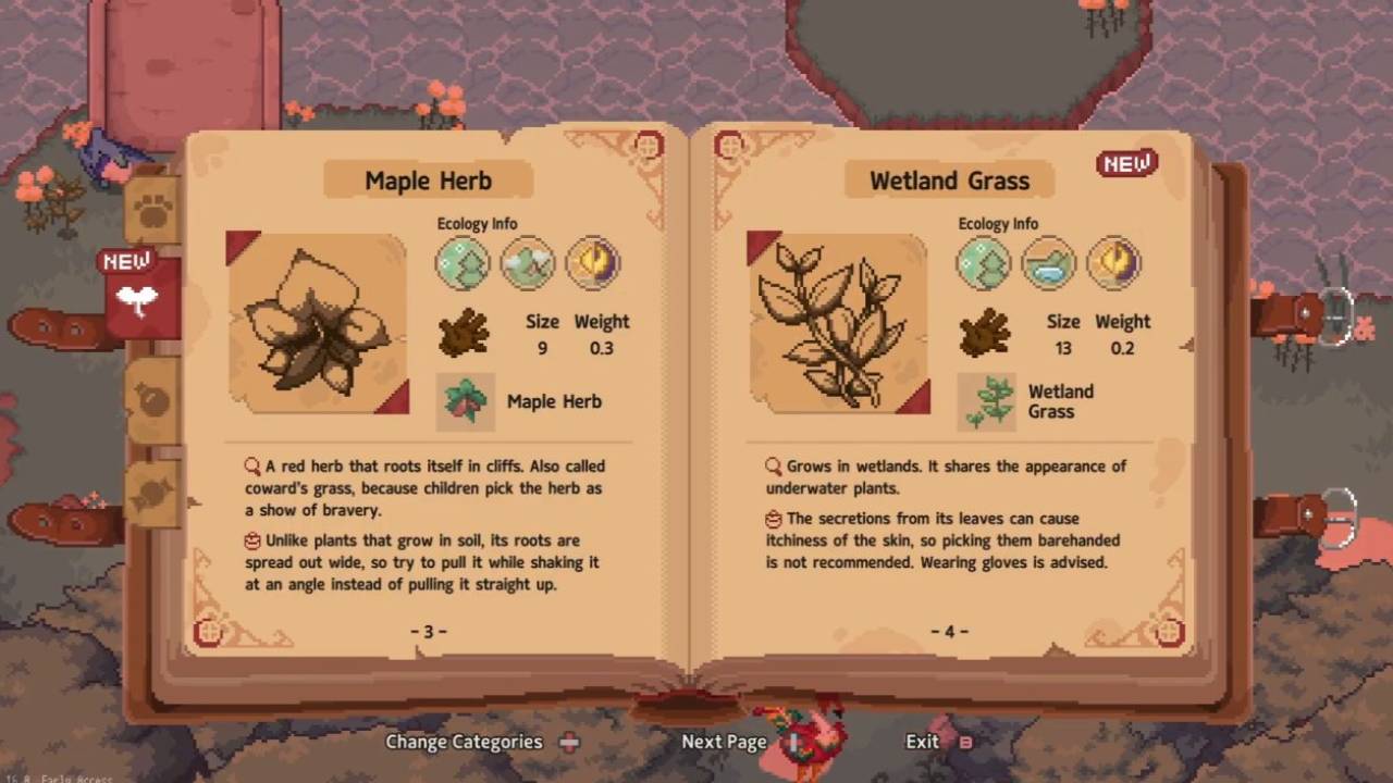 Little Witch in the Woods, Guide, How, to, Find, Blue Witch Chalk, and, Green Forest