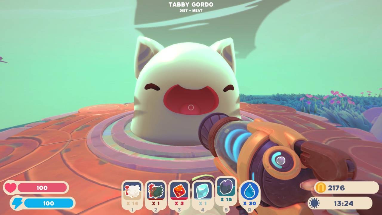 Slime Rancher 2, Guide, All, the, Gordo, Locations