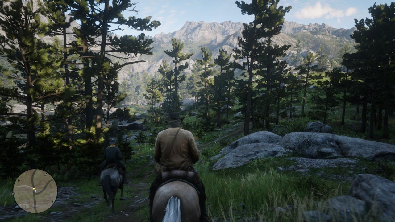 AMD, Radeon RX 9600 XT, Red Dead Redemption 2, Performance Optimisation, NoobFeed