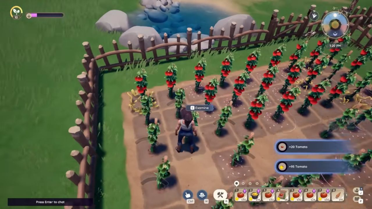 Palia, PC, Gameplay, How to Farm Gold Fast, Screenshot, NoobFeed