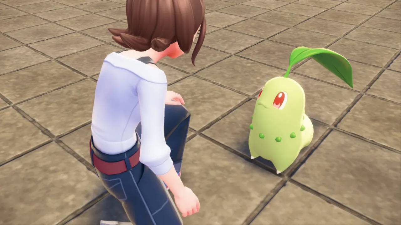 Pokemon Legends Z-A Trainer looking at Chikorita Pok&eacute;mon