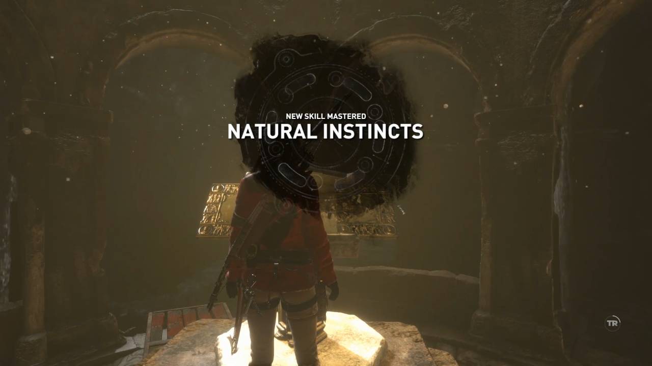 Tomb Raider Guide | How to Level Up Fast and Get the Best Skills,PC,Gameplay,Screenshot,Noobfeed