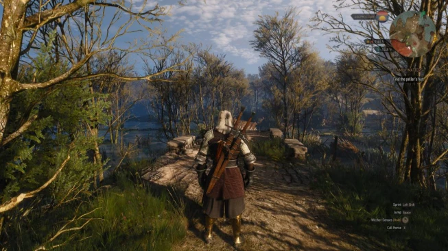 The Witcher 3: Songs of the Past Geralt Standing