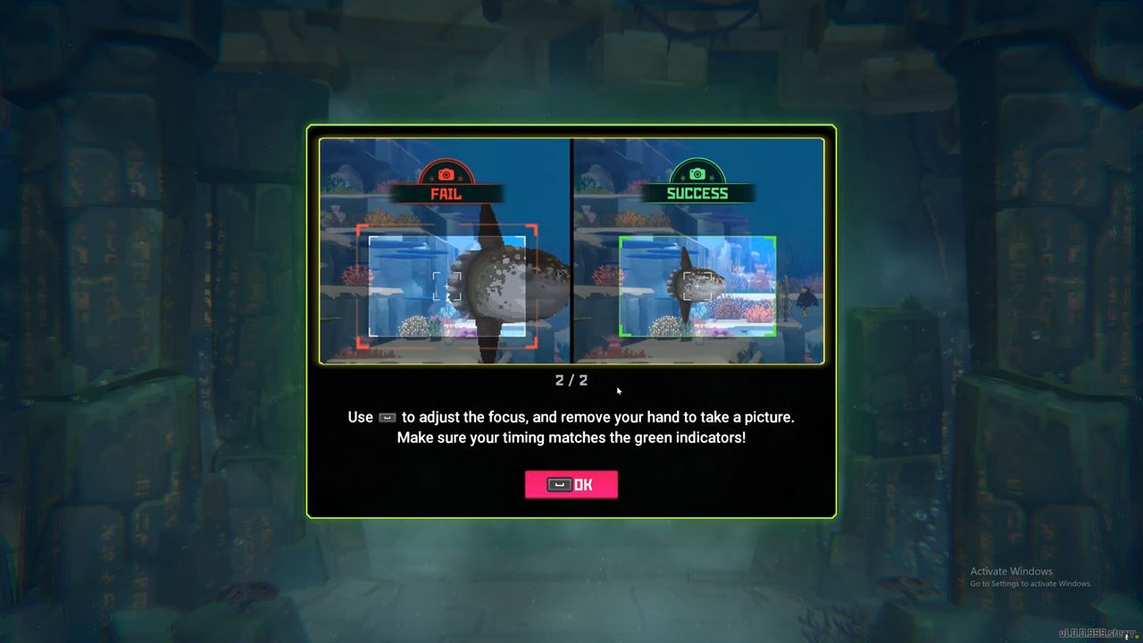 Dave the Diver, Guide, How to Take a Picture, PC, Gameplay, Screenshot, NoobFeed