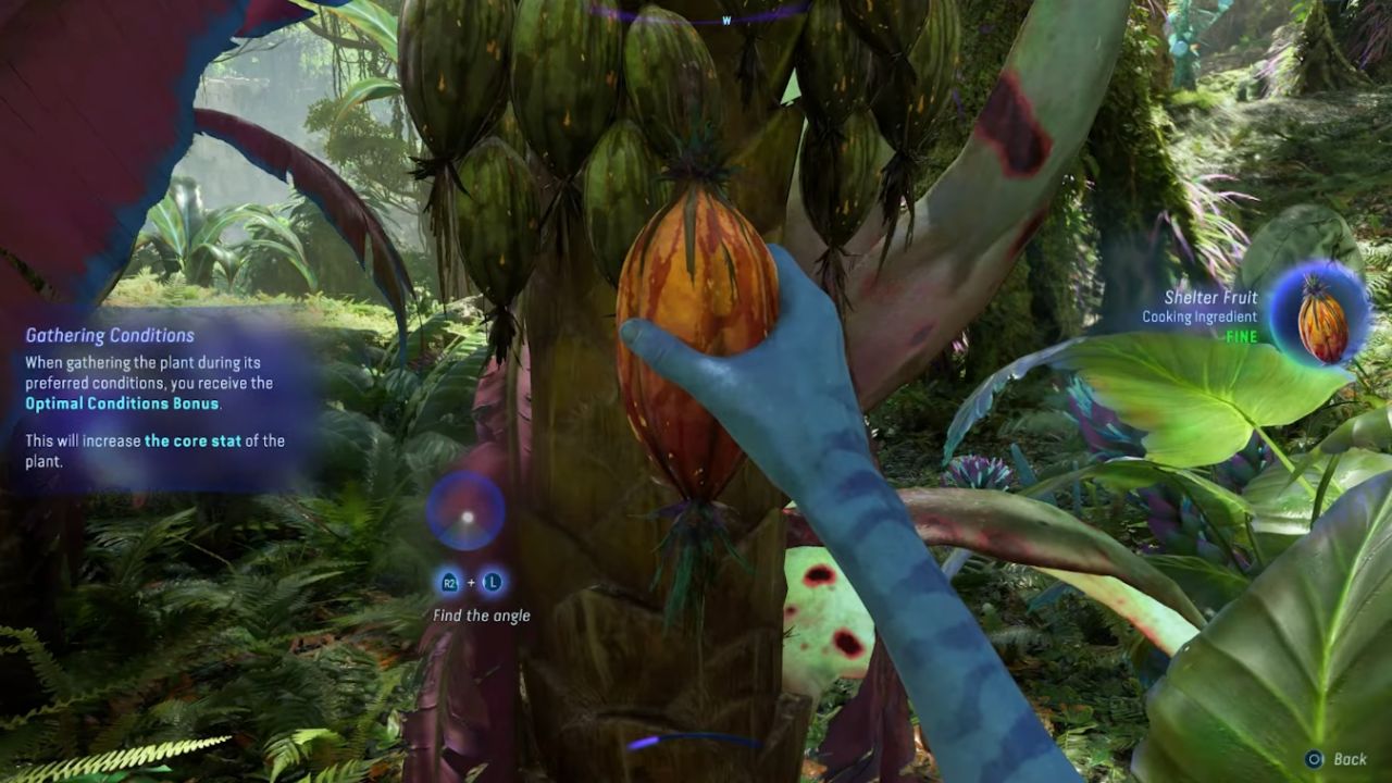 Avatar: Frontiers of Pandora, PC, Gameplay, Beginner's Guide, Gameplay Tips & Tricks, Screenshot, NoobFeed