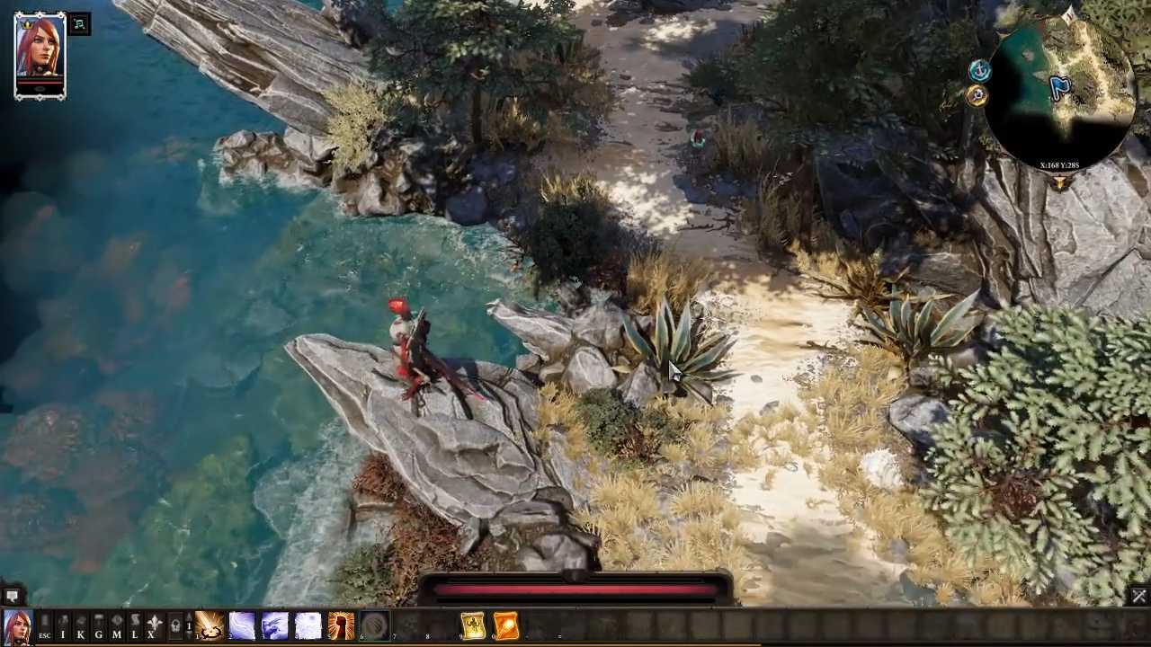 Divinity: Original Sin 2, Guide, The Red Prince Companion, PS5, Gameplay, Screenshot, NoobFeed