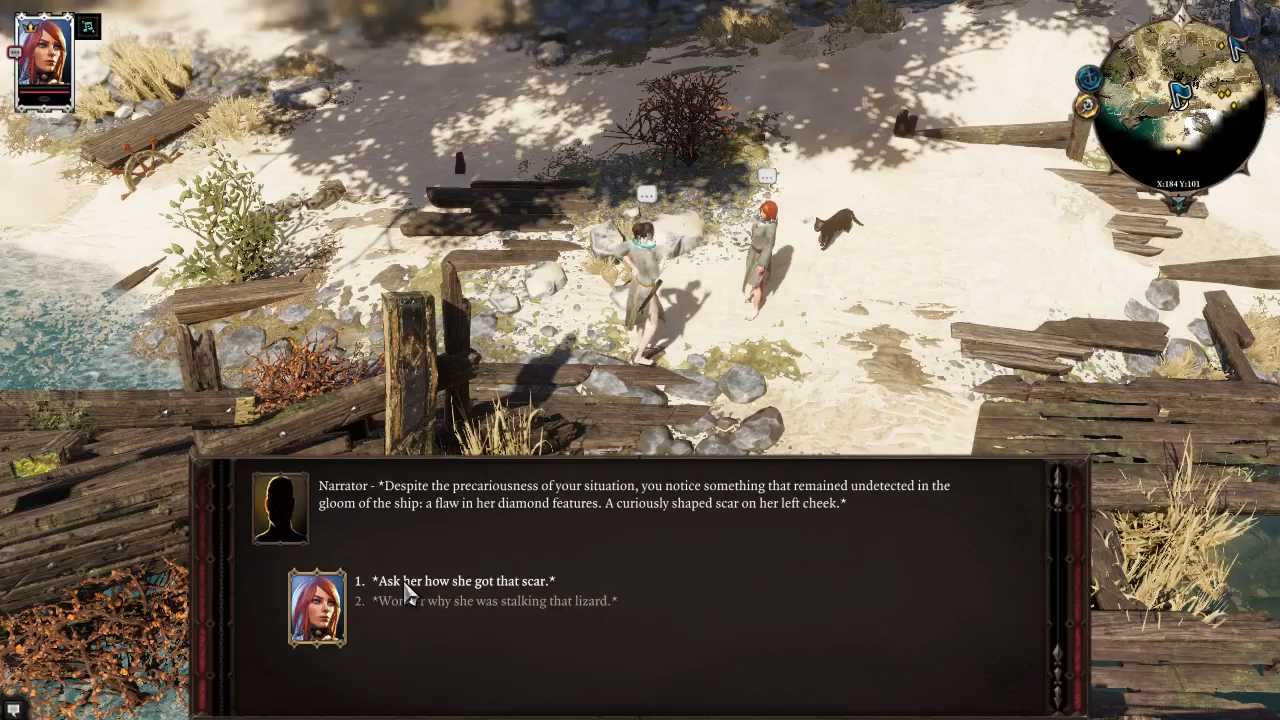 Divinity: Original Sin 2, Guide, Sebille Companion, PS5, Gameplay, Screenshot, NoobFeed
