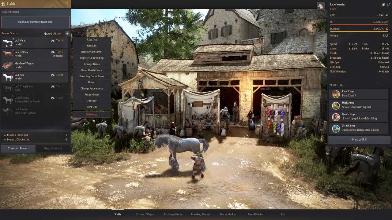 Black Desert, Guide, How To Effectively Spend Silver
