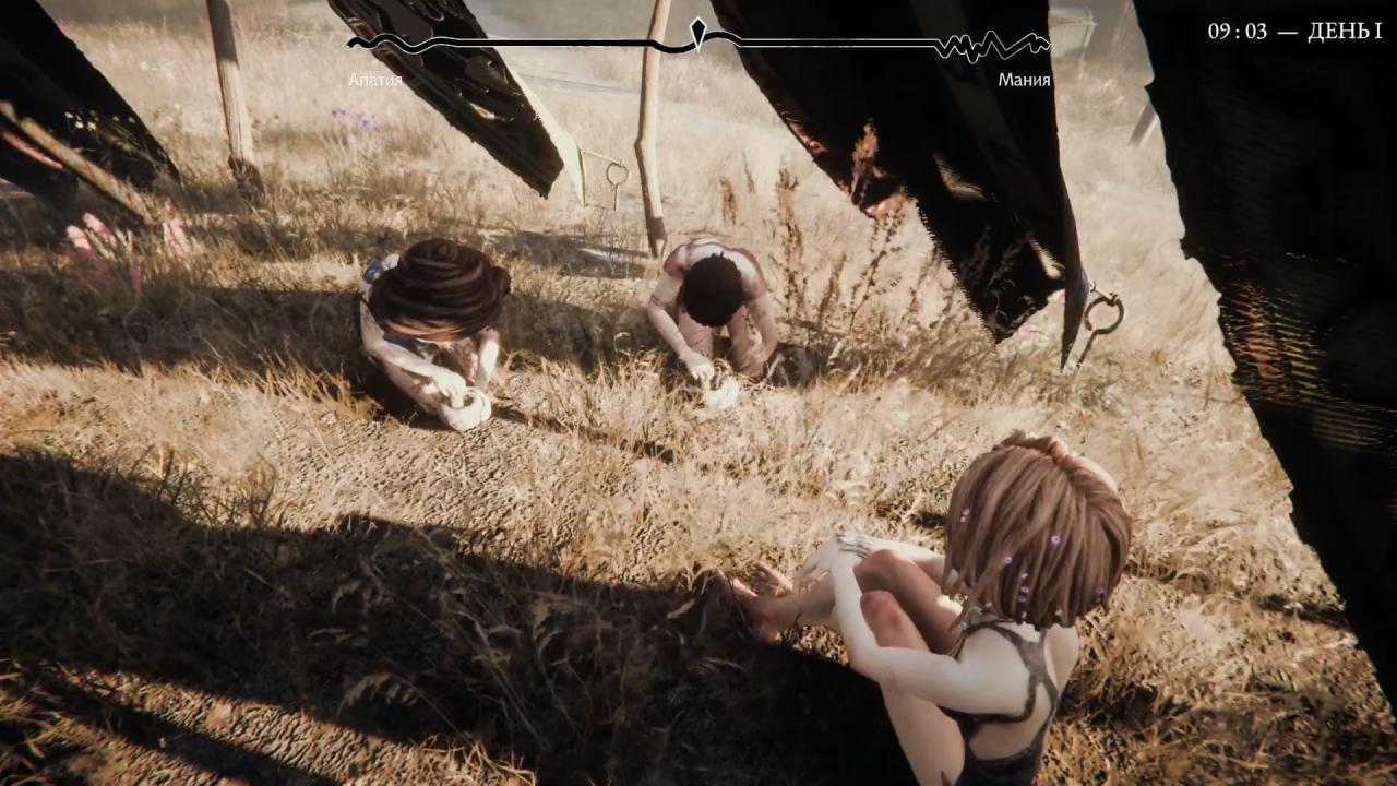 Pathologic 3, Guide, How to Diagnose The Herb Bride, PC, Gameplay, Screenshot, NoobFeed