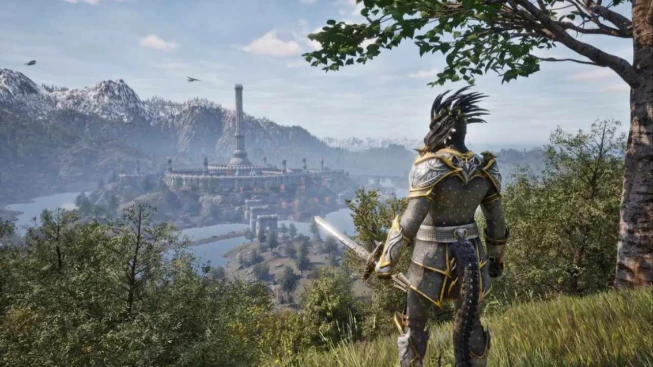 The Elder Scroll VI Guy Overlooking City