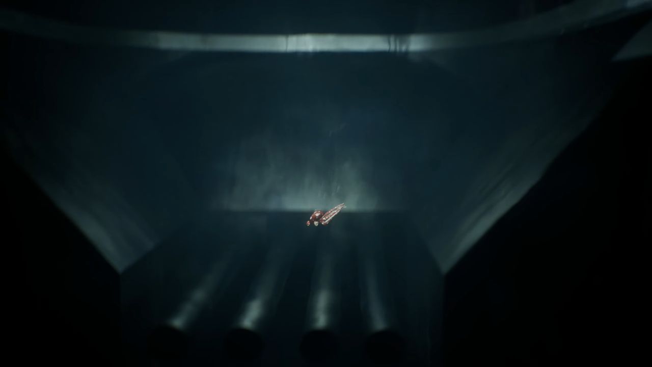 Darwin's Paradox!, Guide, All Discoveries Location