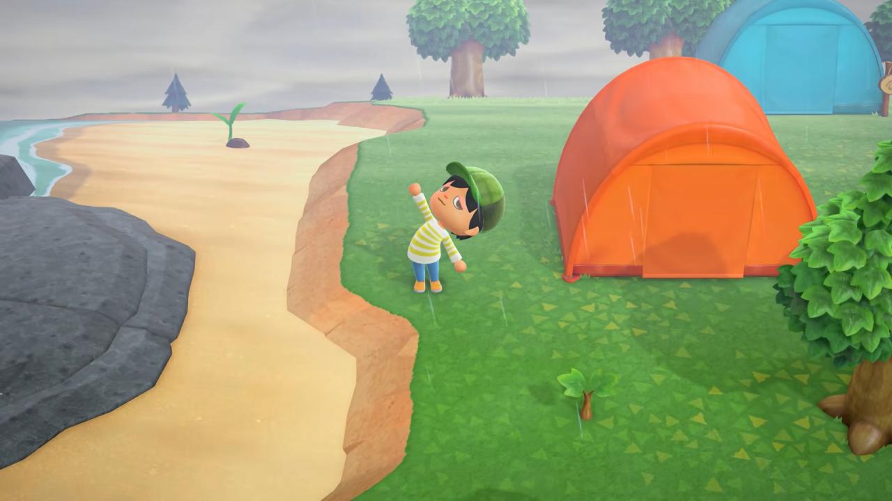 Animal Crossing: New Horizons Switch 2 Review
