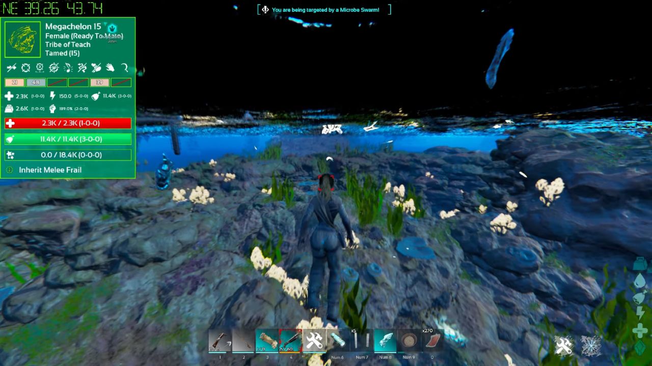Ark Survival Ascended Guide Lure a Parakeet Fish School