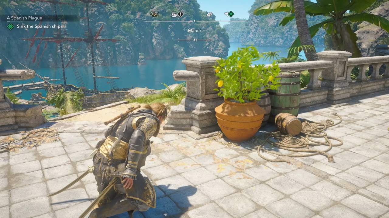 Assassin's Creed Black Flag Resynced Guide What Potted Plants Look Like