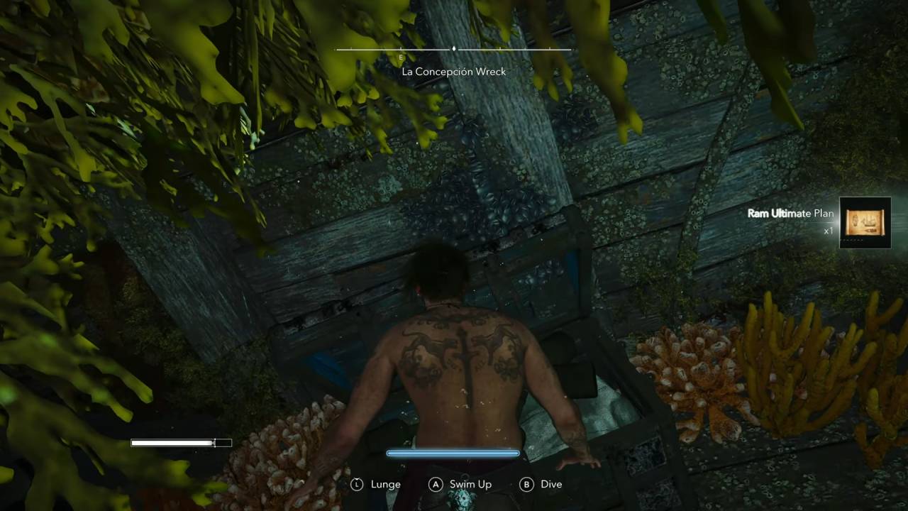 Assassin's Creed Black Flag Resynced Guide Finding the Chest