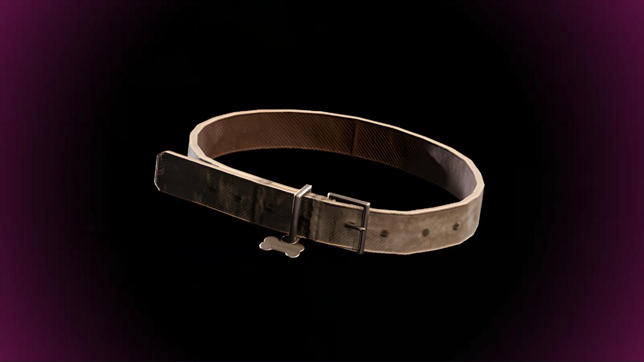 Dog Collar in ARC Raiders