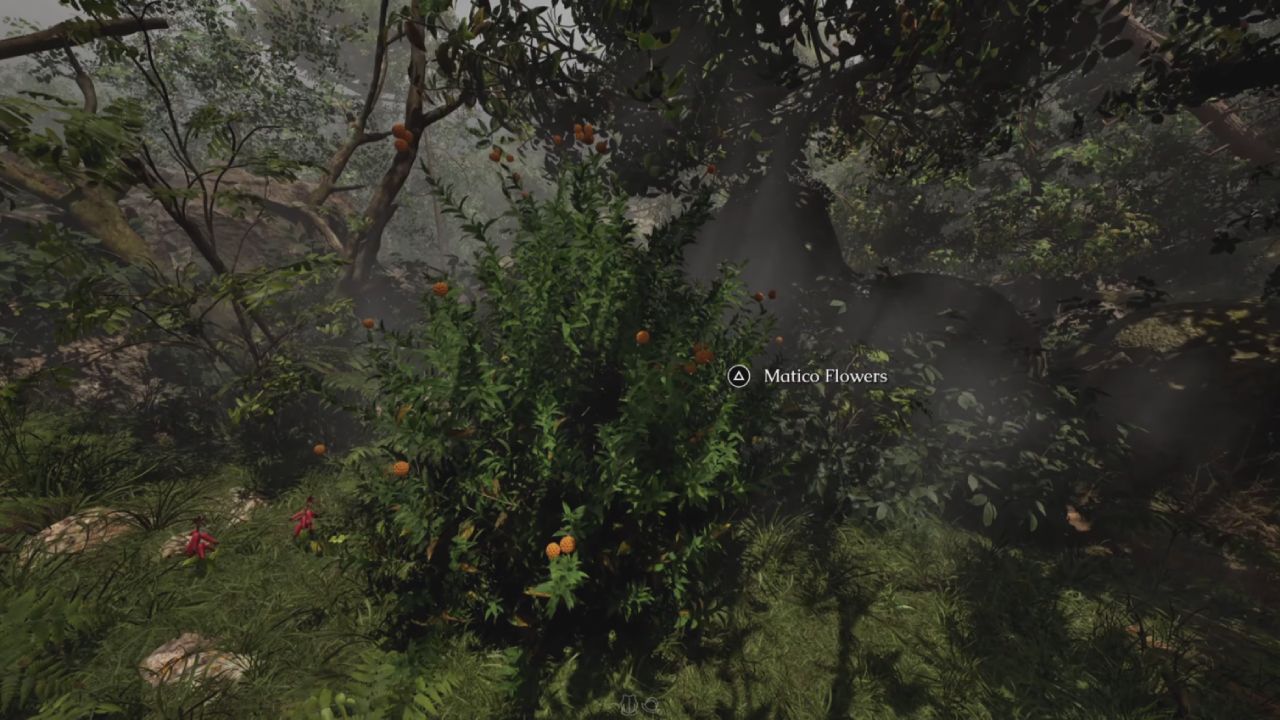 The Mound Omen of Cthulhu Guide How to Cure Centipede Parasites