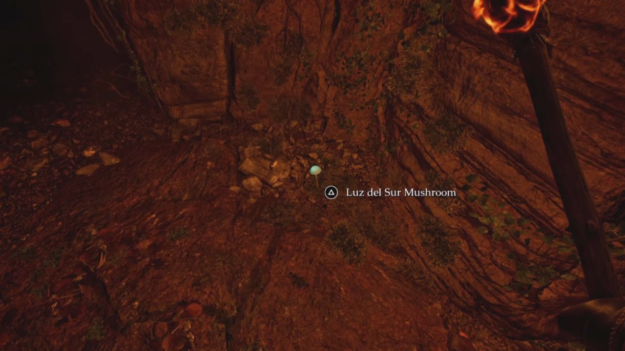 The Mound Omen of Cthulhu Guide Use a Luz del Sur Mushroom