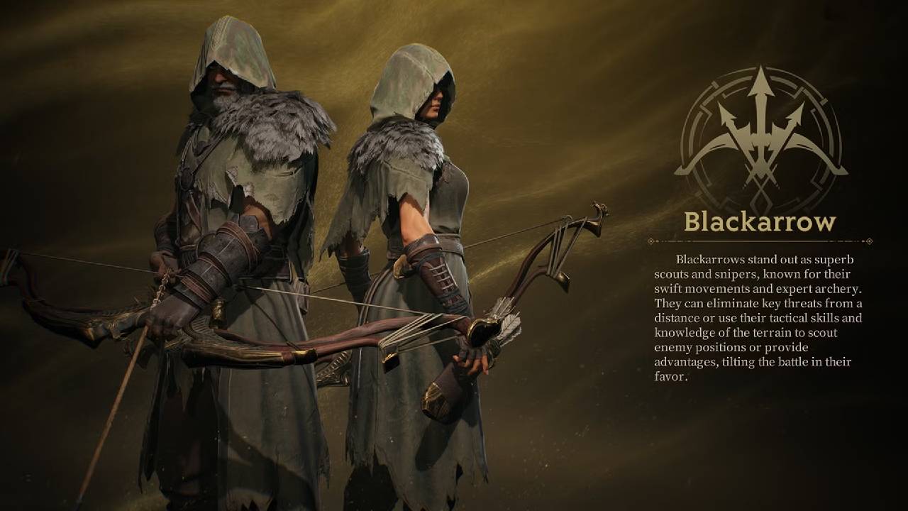Blackarrow in Mistfall Hunter Character Showcase