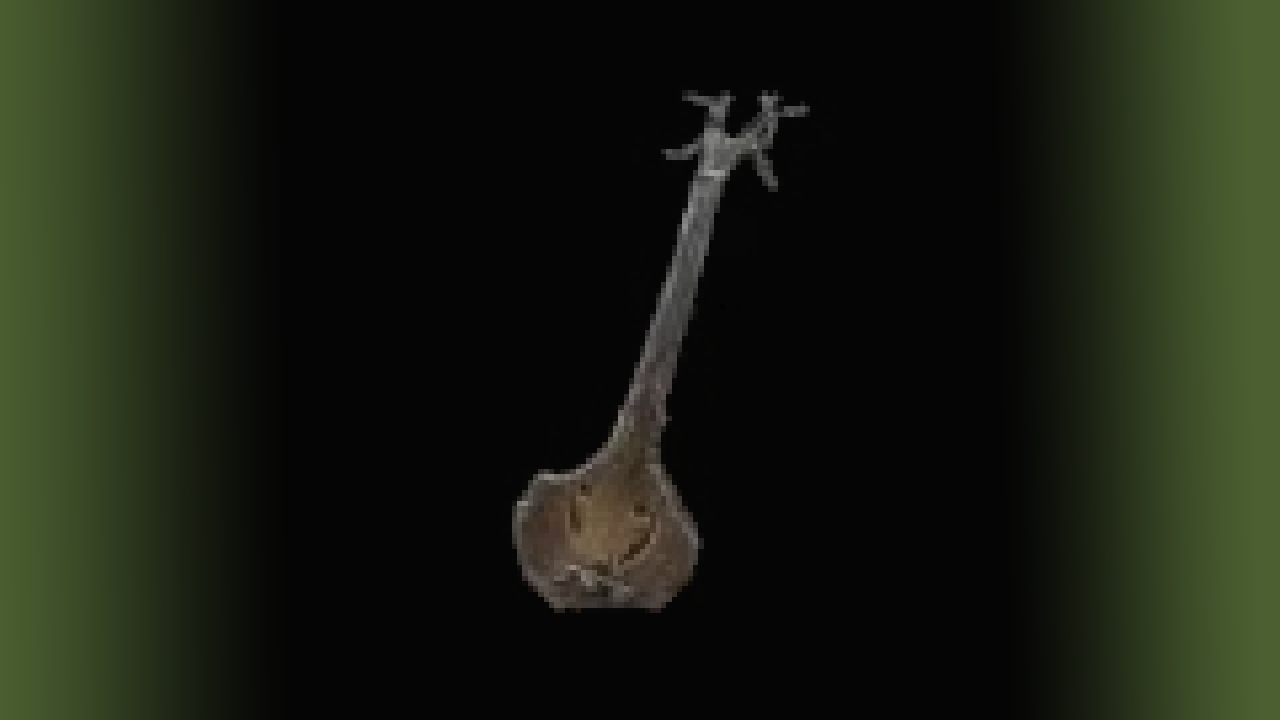 Troubadour's Lute.