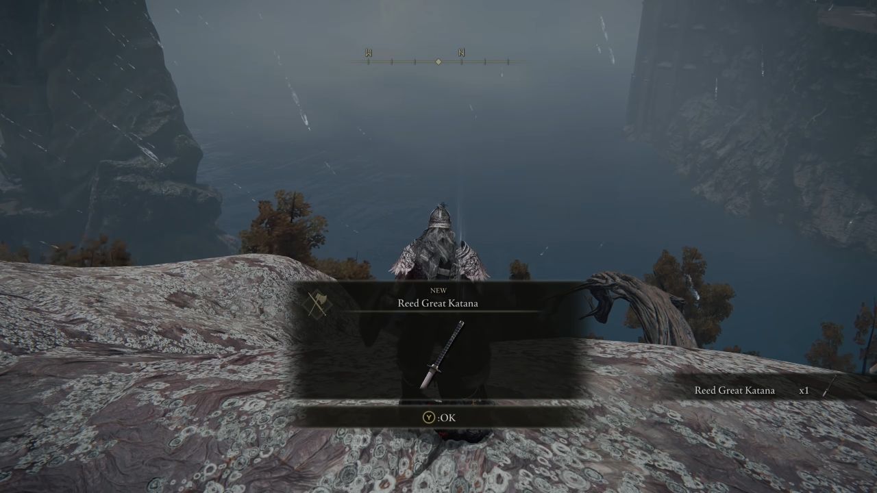 Elden Ring: Tarnished Edition collecting Reed Great Katana