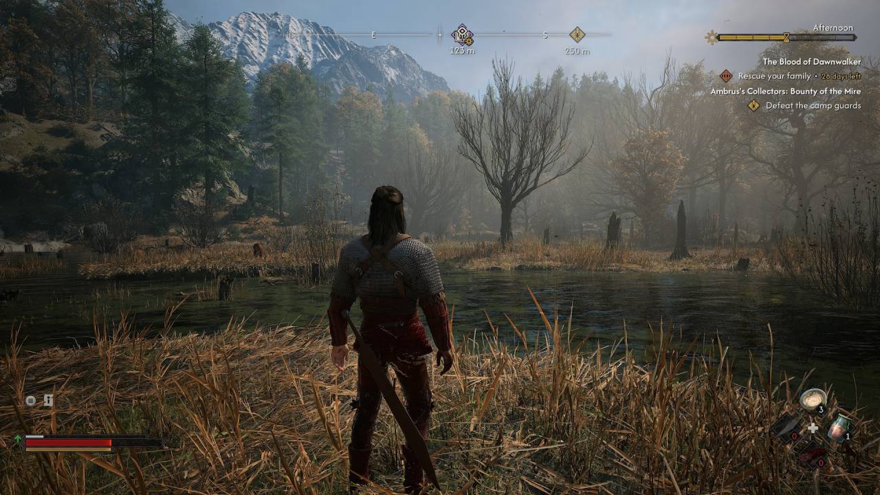 The Blood of Dawnwalker Graphics Rendering