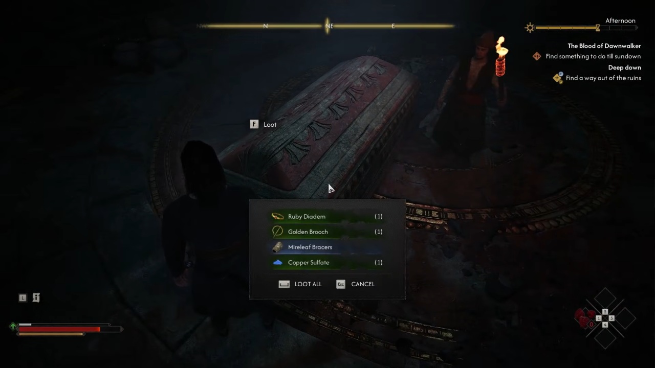 The blood of dawn walker Mireleaf bracers coffin