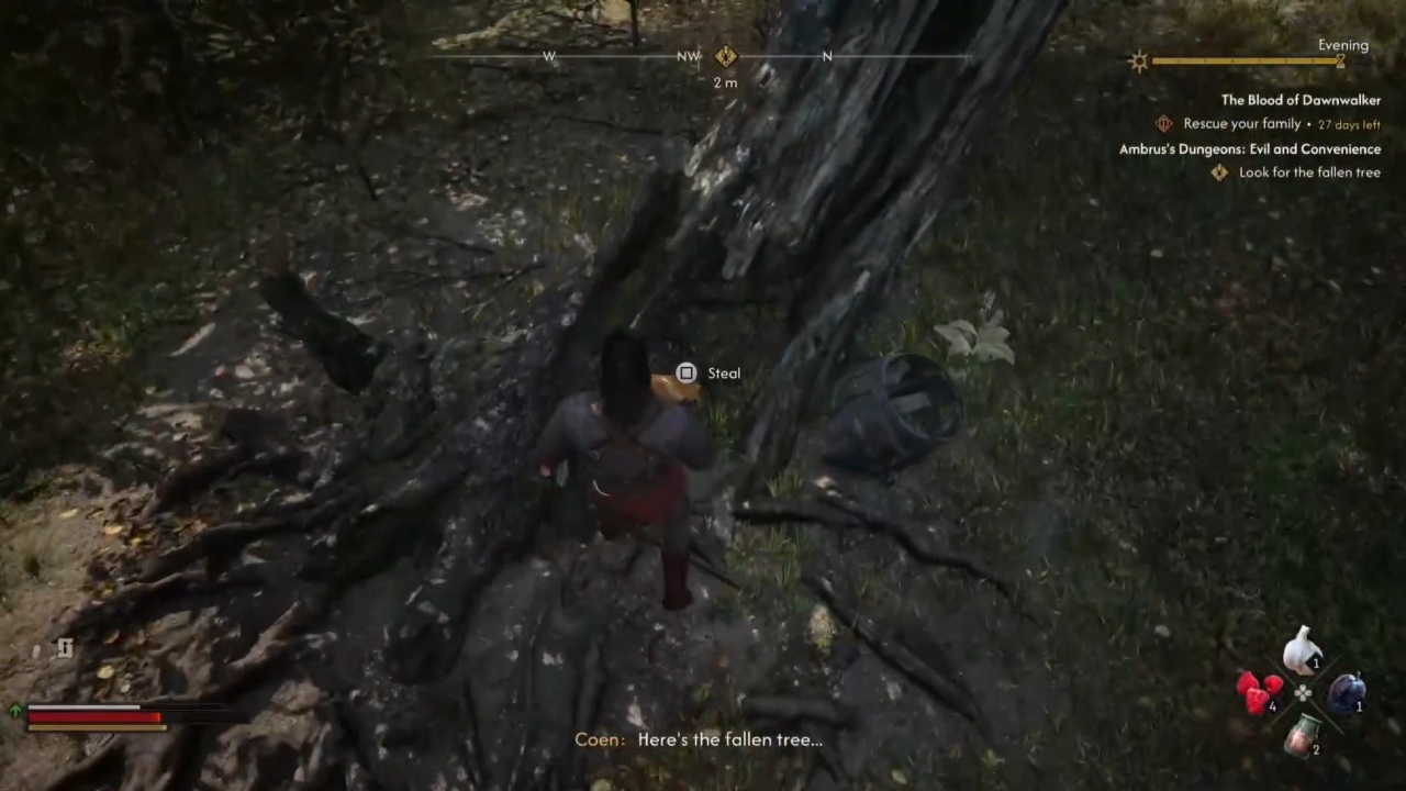 The blood of dawn walker hidden stash fallen tree