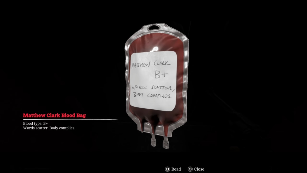 silenthill townfall matthew bloodbag