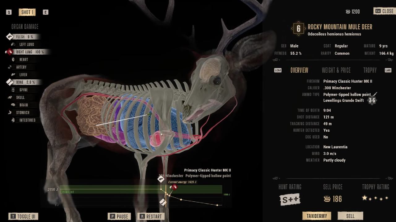 Way of the Hunter 2 X-ray harvest analysis showing shot impact