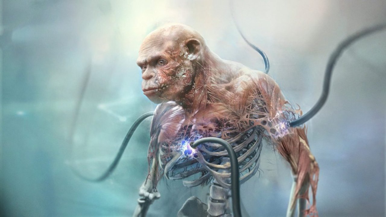 Beyond Good and Evil 2 New Gameplay Details