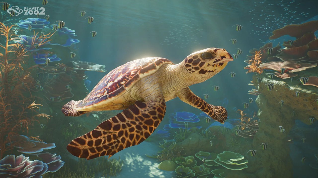Planet Zoo 2 Gameplay