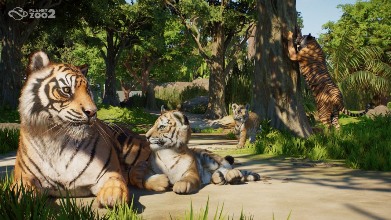 Planet Zoo 2 Tigers