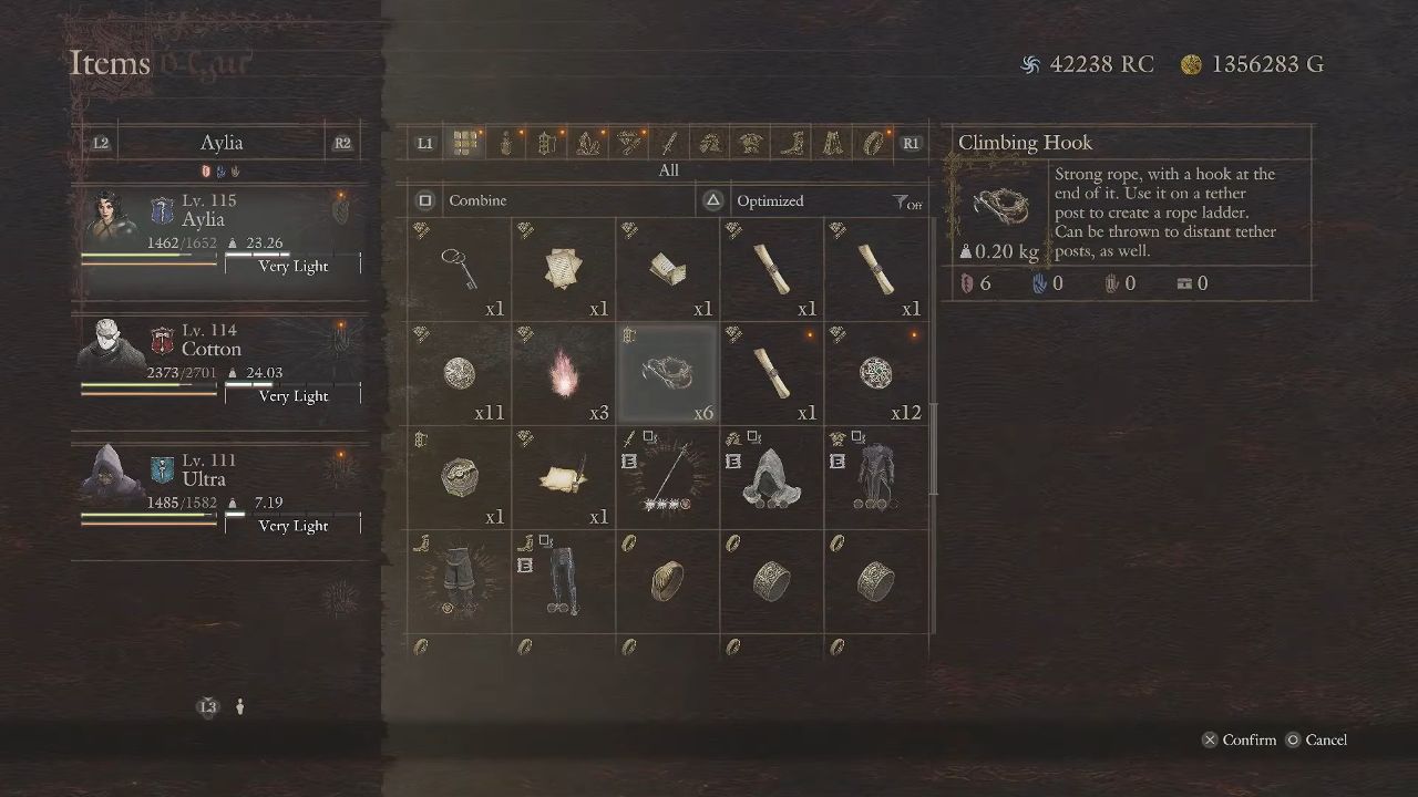 Dragon's Dogma 2: Dark Arisen Showing Hook in Inventory