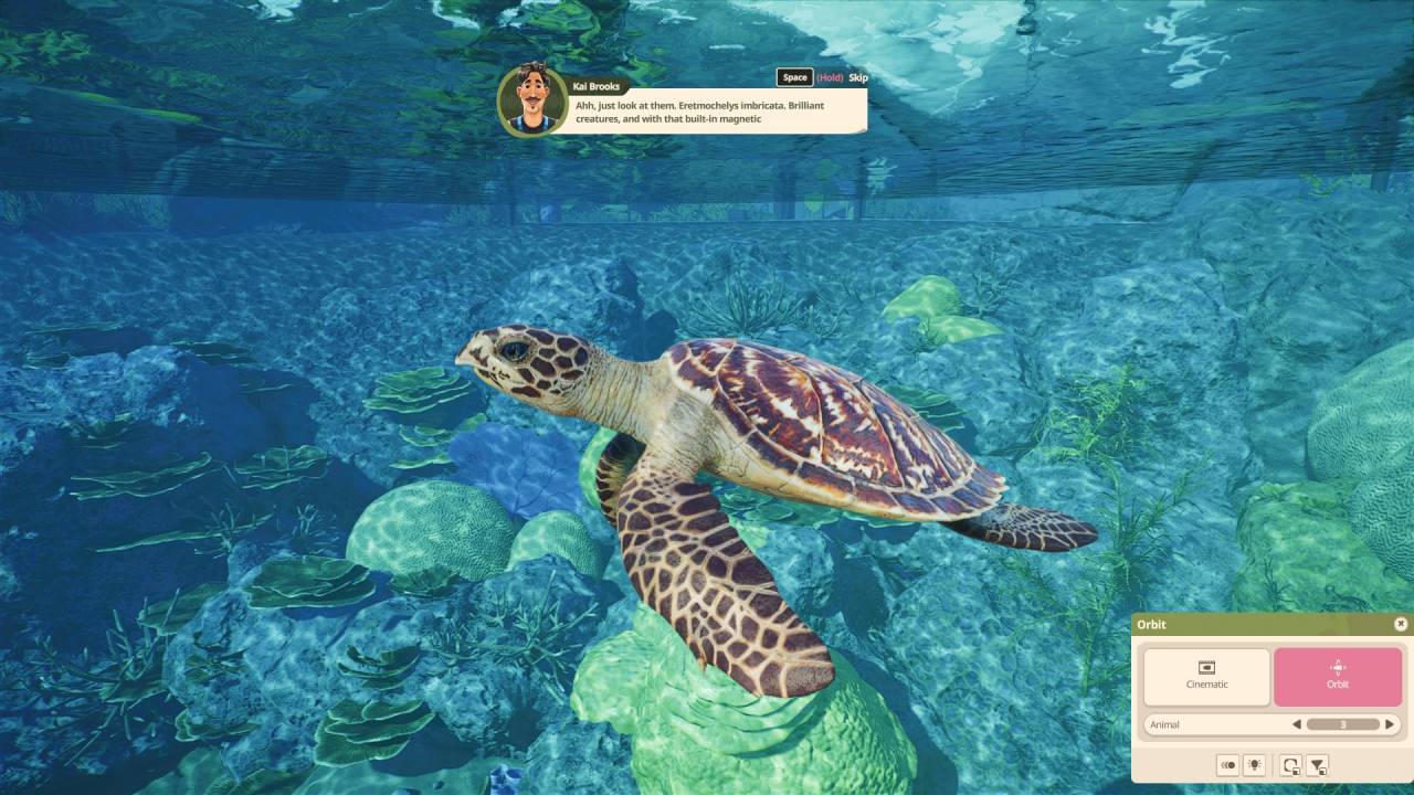 Planet Zoo 2 Beautiful Turtle in Museum