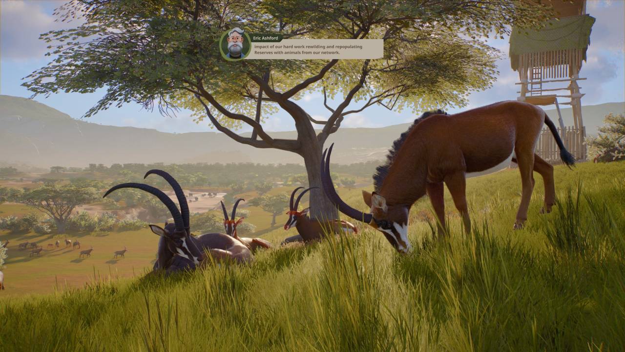 Planet Zoo 2 Review