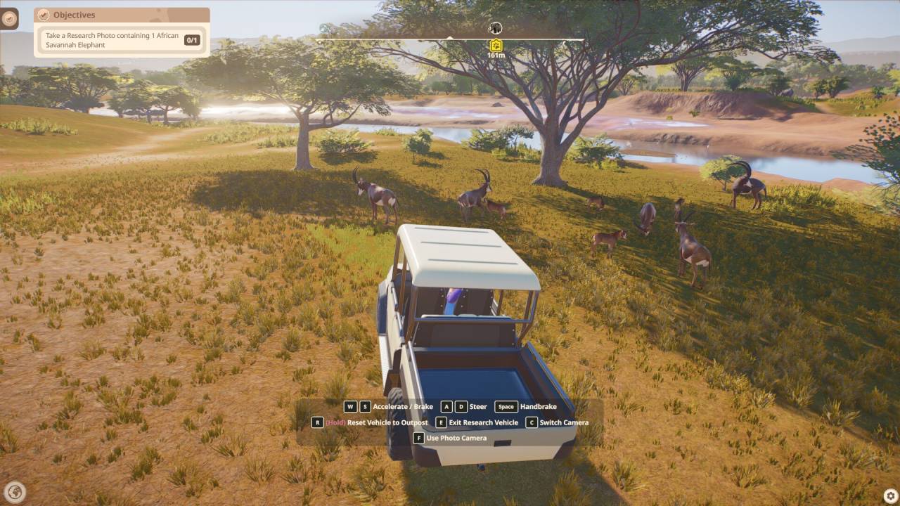 Planet Zoo 2 Open Museum of Deer
